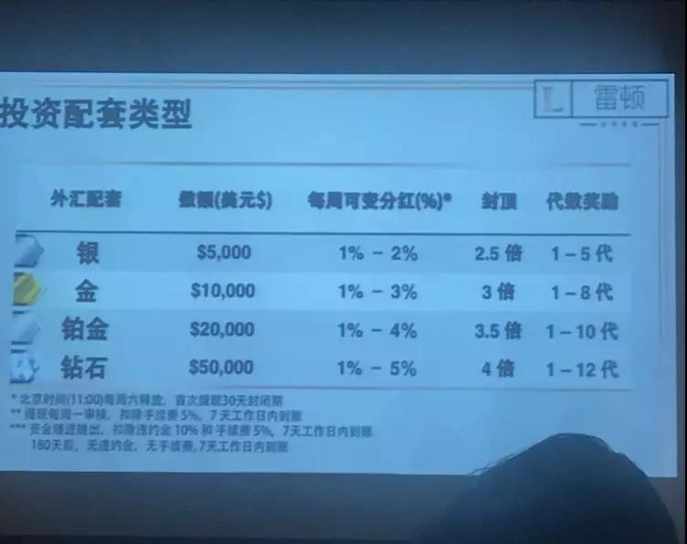 雷顿外汇最新动态，全球金融市场的变革与机遇