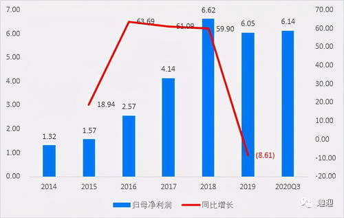 涪陵榨菜股票最新动态，市场分析与前景展望