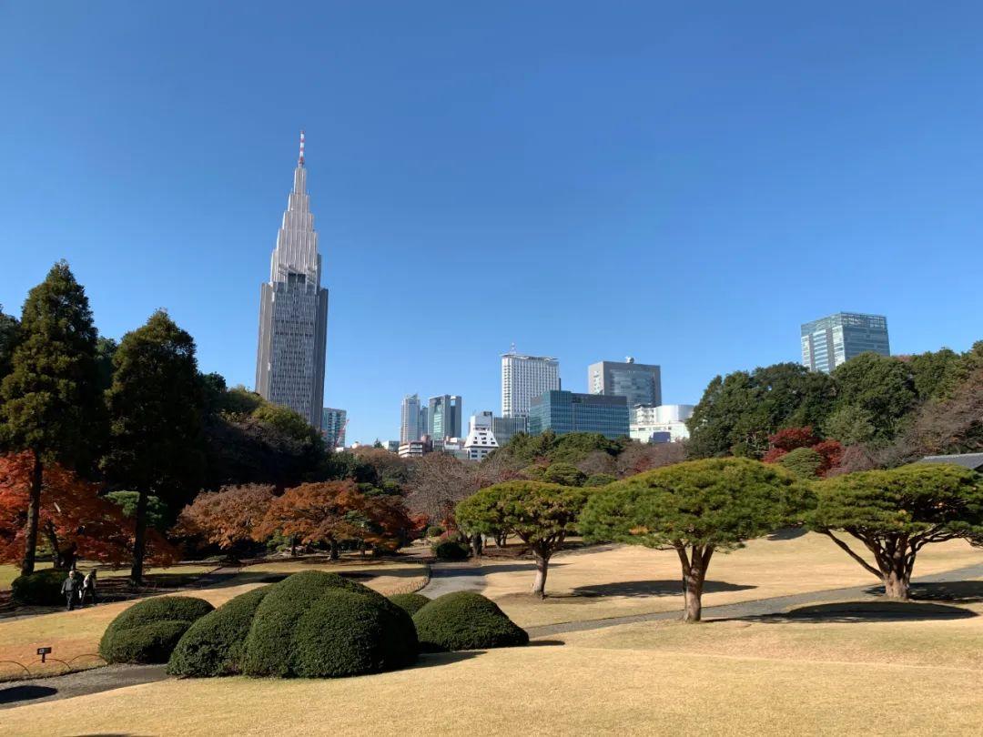 穿湿鞋子的最新启示，从日常习惯到健康与科技的融合