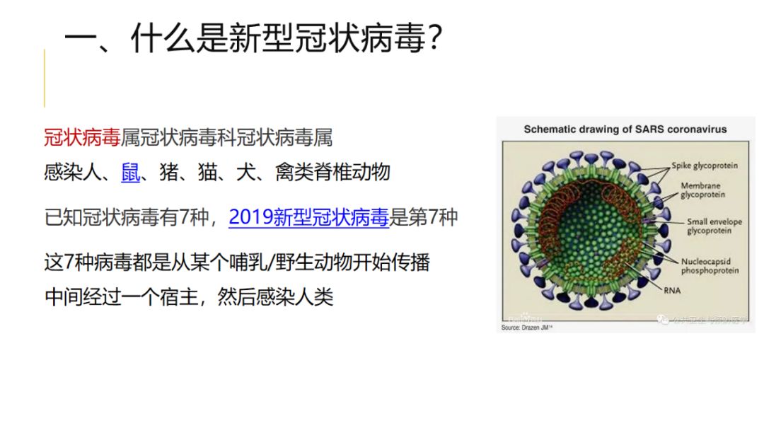 国家疫情最新隔离政策，科学防控，精准施策