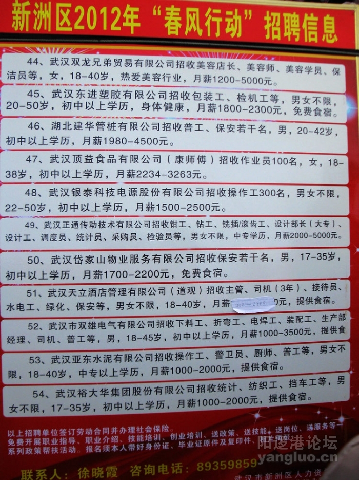 最新阳逻招聘，探索人才聚集地的机遇与挑战