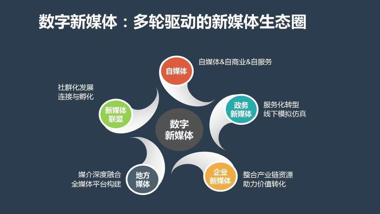 短视频最新分享，探索数字时代的娱乐与信息传播新趋势