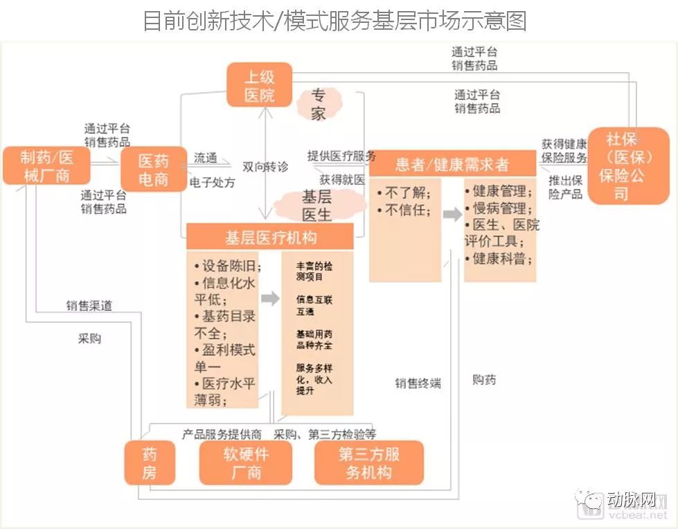 荔枝最新情况，从产地到市场，全面解析荔枝产业的现状与未来