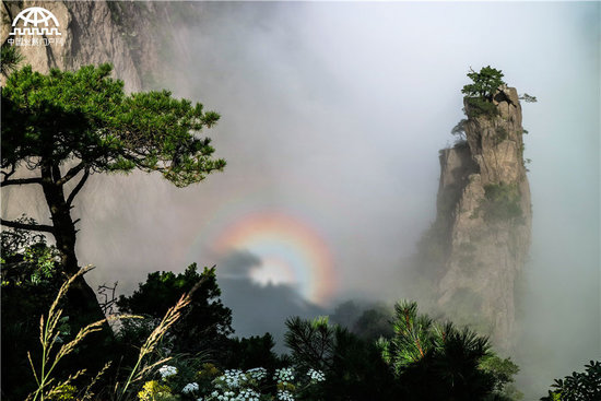 最新黄山门票，探索自然奇观的新篇章