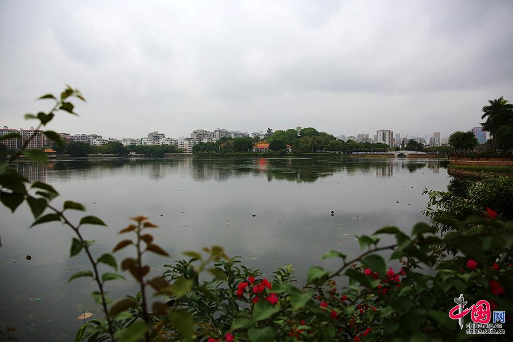 广东最新暴雨消息，一场秋雨一场寒，防灾减灾正当时