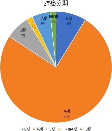 N服最新攻略，解锁高效游戏策略与技巧