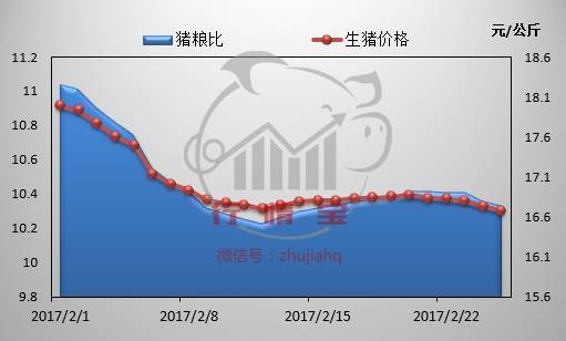 明年最新猪价，市场趋势、影响因素及应对策略