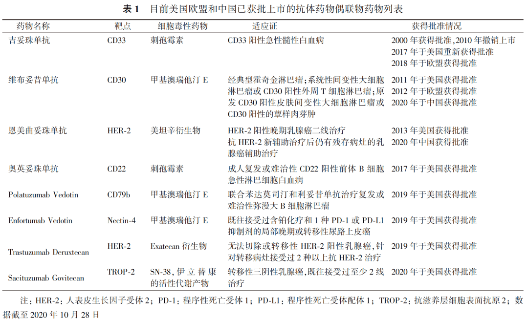 肺癌TNM分期最新进展，深入理解与临床应用