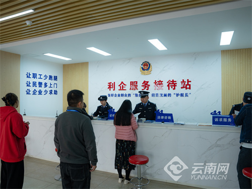 云南警方最新直播，科技赋能下的警务透明与民众互动