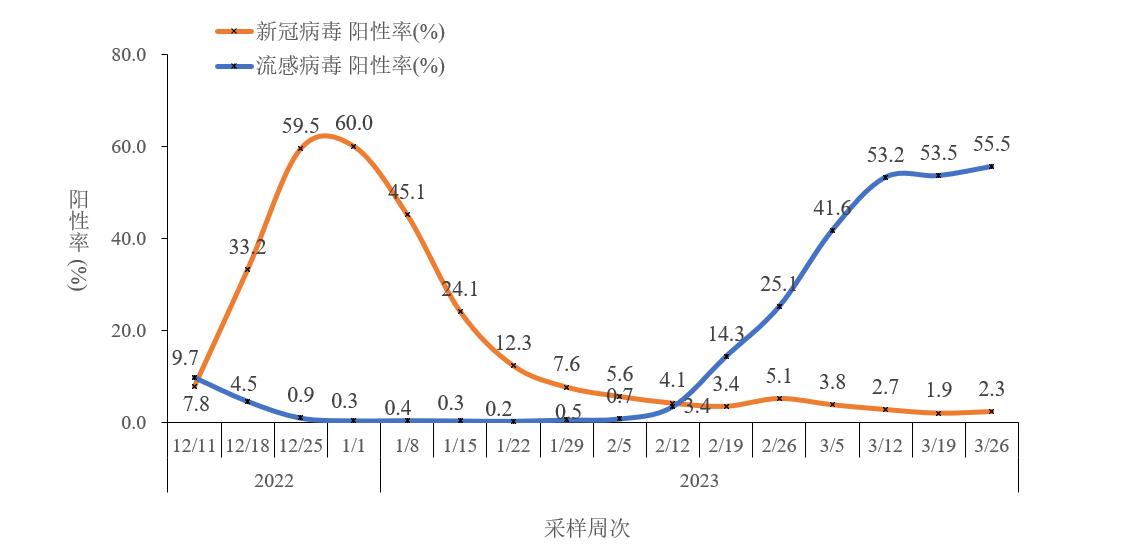 最新趋势分析与应对策略