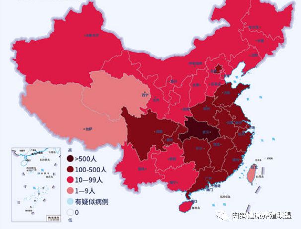 最新活禽资讯，行业趋势、市场动态与养殖技术革新