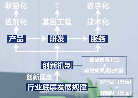 研发最新产品，创新、挑战与未来展望