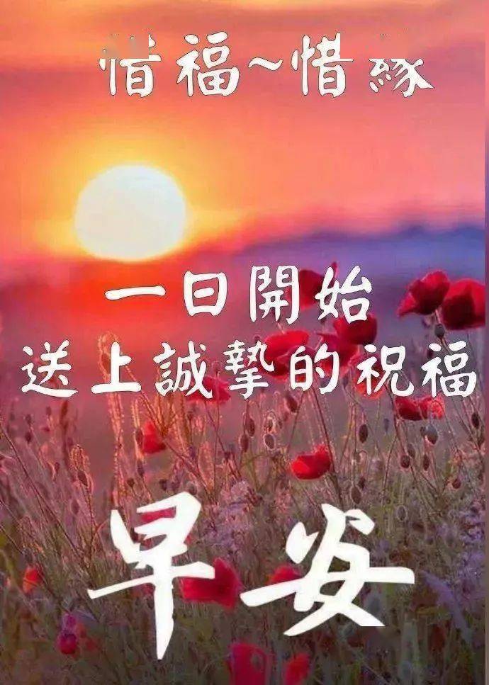 最新早上问候的图片，传递温暖与希望的视觉艺术
