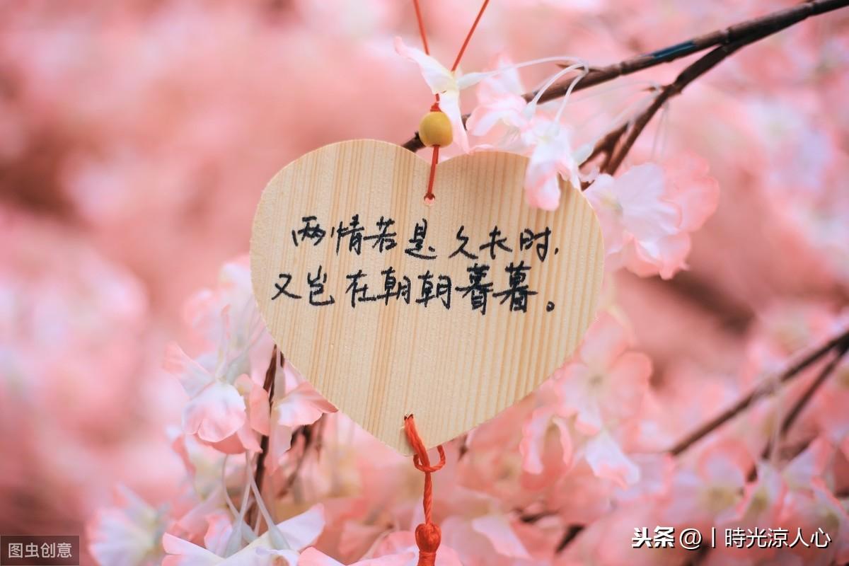 抖音最新悲伤文案，在数字时代的情感共鸣