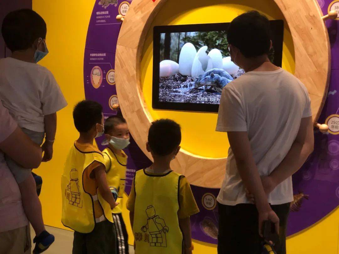 杜隽世最新动态，跨界艺术与科技的探索之旅