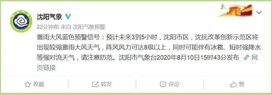 台风巴威最新沈阳，风雨中的坚守与希望
