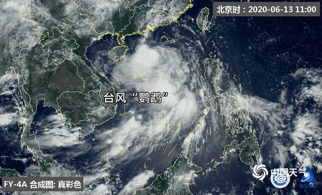 鹦鹉最新台风路径图，追踪风暴的每一步