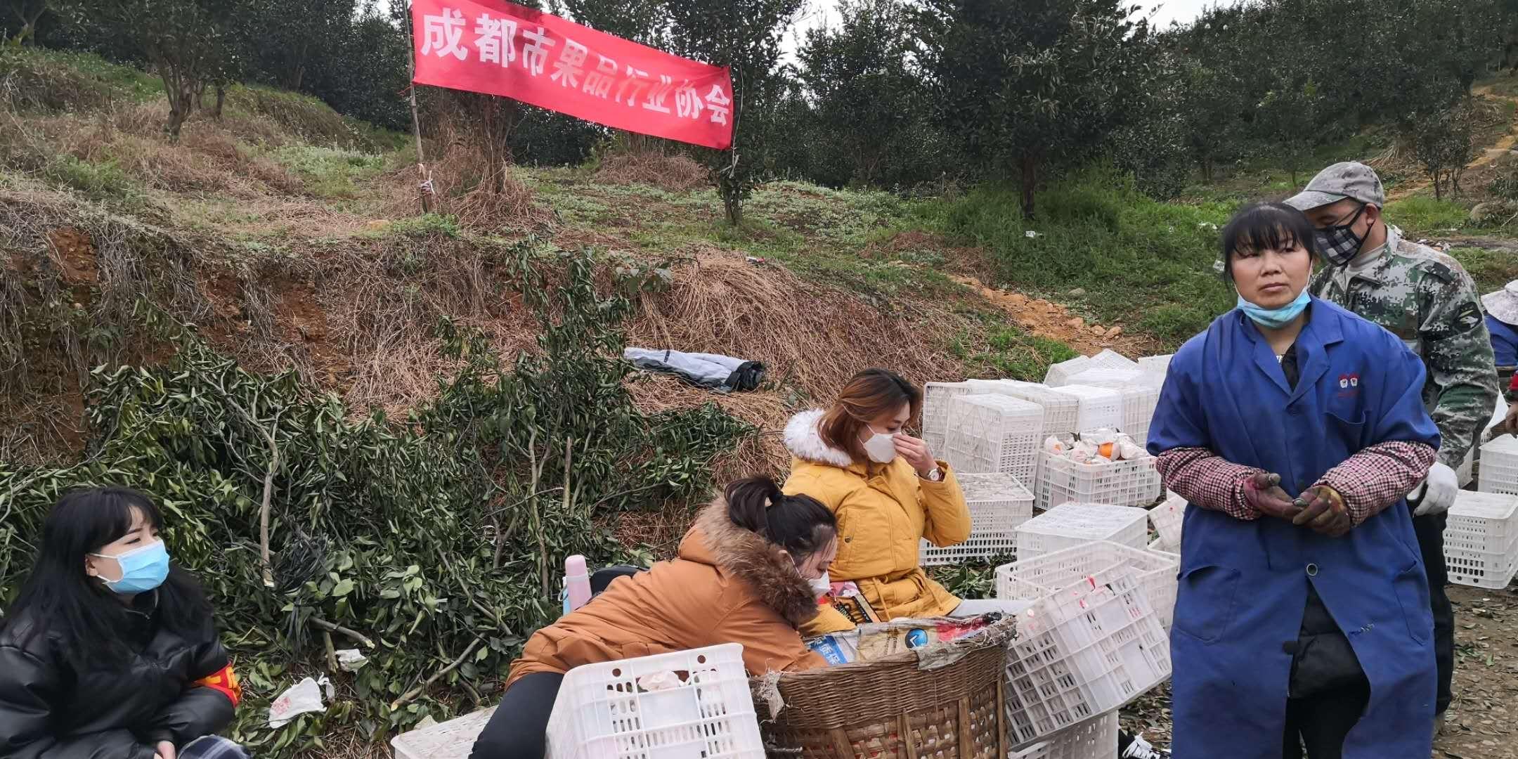 新发地疫情最新图片，透视疫情下的挑战与希望