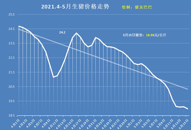 今天最新的猪价，市场波动背后的深层原因与未来展望