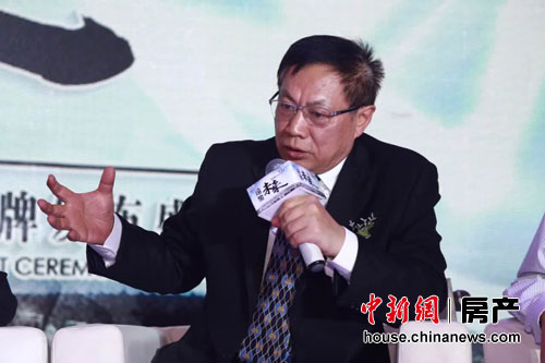 任志强最新看法，房地产市场的新趋势与未来展望