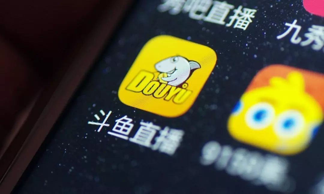 菜鸡狗直播最新动态，探索娱乐与互动的新边界