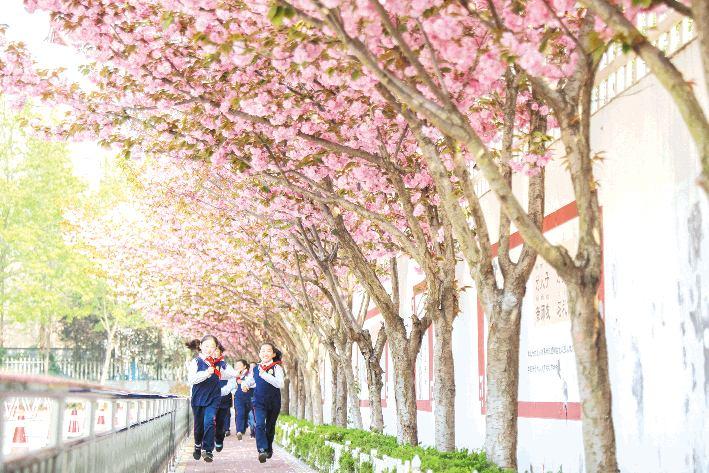 樱花校园，探索最新游戏世界的奇妙之旅